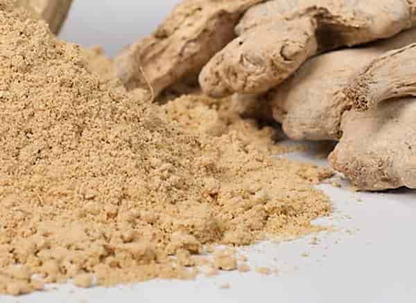 تصویر 4 از قیمت خرید پودر زنجبیل ارگانیک + فروش ویژه